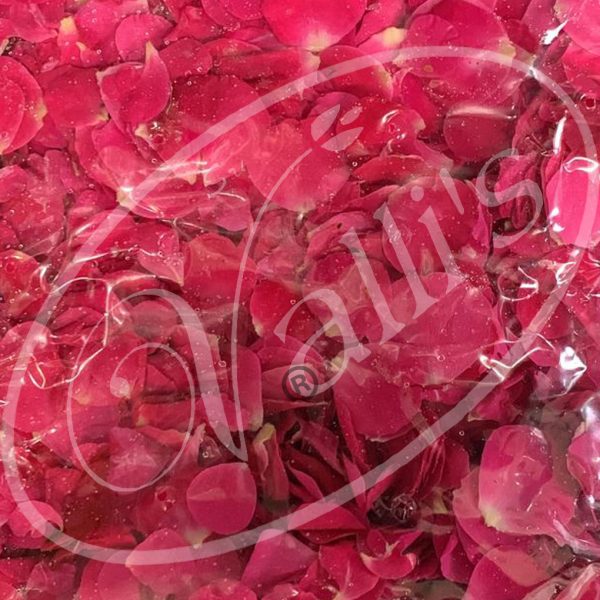 LF0031-1 Paneer Rose Petals-0