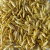 Arali - LF0001 - Image 3