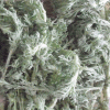 Marikolunthu 50g - LG0018