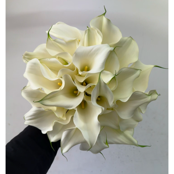 Hand Tie - HT0046